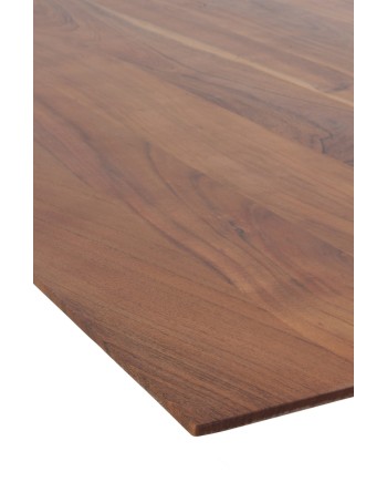 Console, Antina