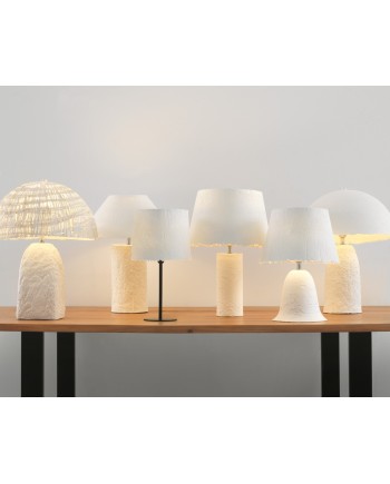 Lampe, Rein