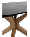 Mesa extensible, Apci