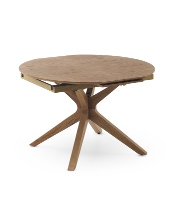 Mesa extensible, Laho