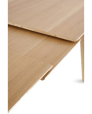 Mesa extensible, Obca