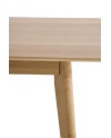 Mesa extensible, Obca