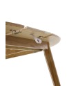 Mesa extensible, Nataren