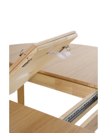 Mesa extensible, Nataren