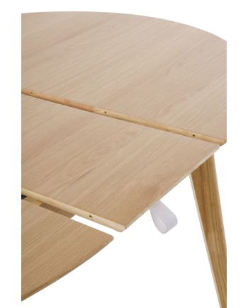 Mesa extensible, Nataren