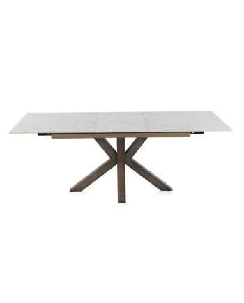 table à manger extensible