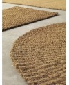 TAPIS