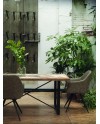 fauteuil rembourré taupe avec pieds en métal noir